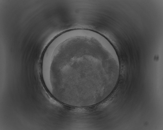 X0000091201094200708301555