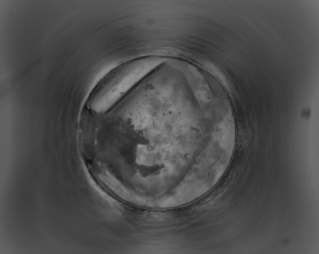 X0000091201095200708301555
