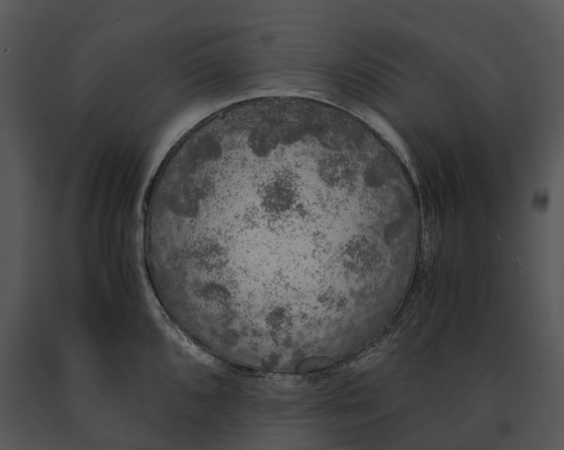 X0000091201096200708301555