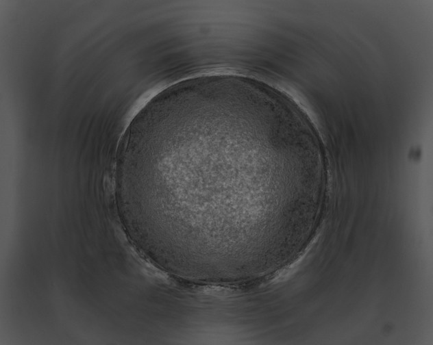 X0000091201097200708301555