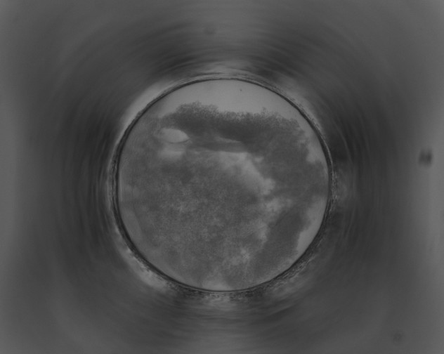 X0000091201098200708301555