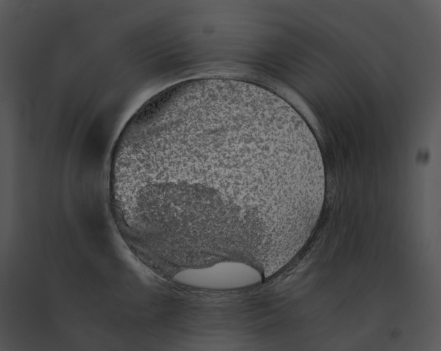 X0000091201099200708301555