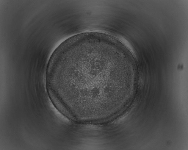 X0000091201100200708301555