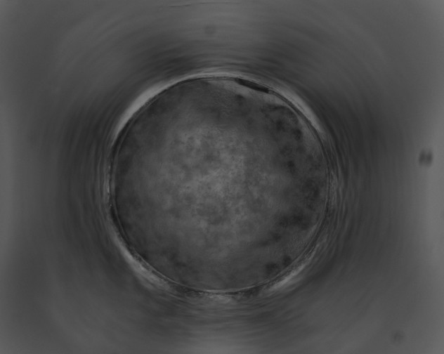 X0000091201101200708301555