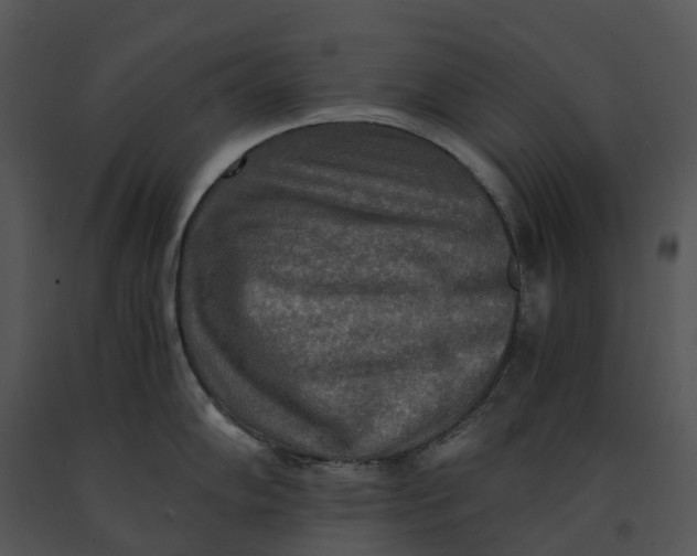 X0000091201102200708301555