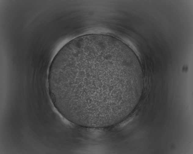 X0000091201103200708301555