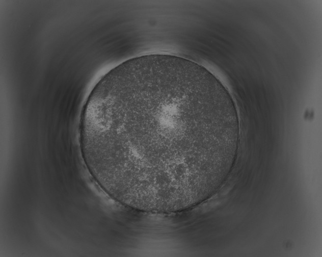 X0000091201104200708301555