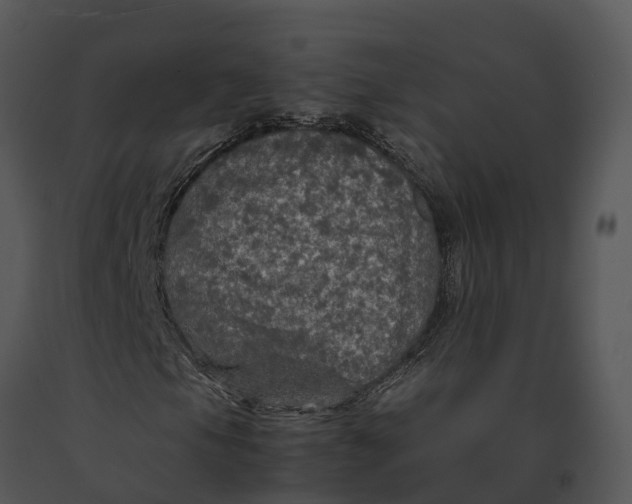 X0000091201105200708301555