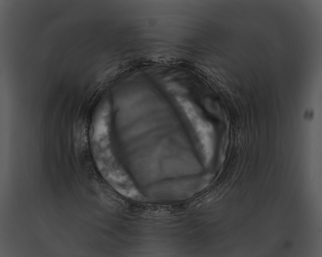 X0000091201106200708301555