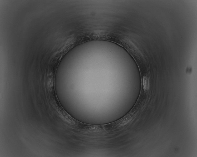 X0000091201107200708301555