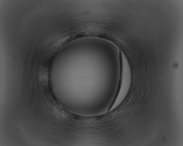 X0000091201108200708301555