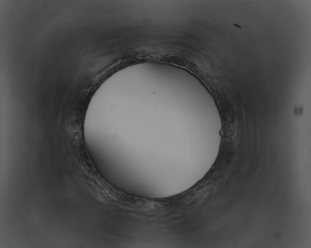 X0000091201109200708301555