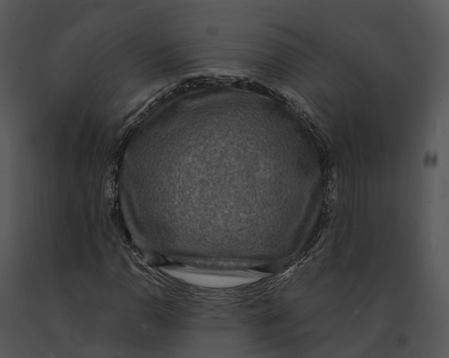 X0000091201110200708301555