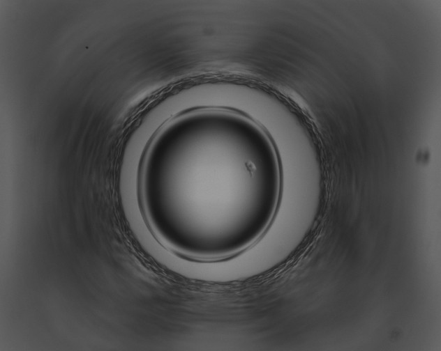 X0000091201112200708301555
