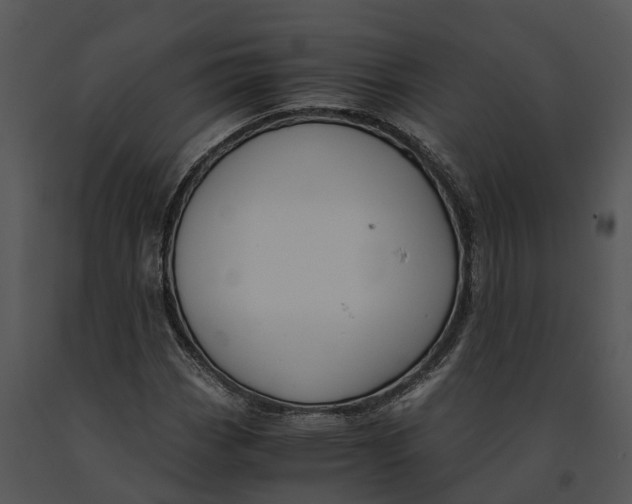 X0000091201113200708301555