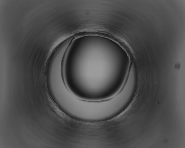 X0000091201114200708301555
