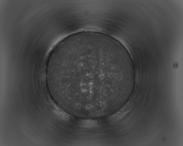 X0000091201115200708301555
