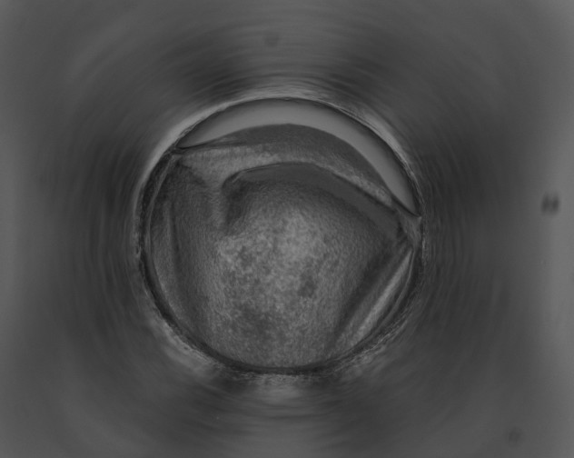 X0000091201116200708301555