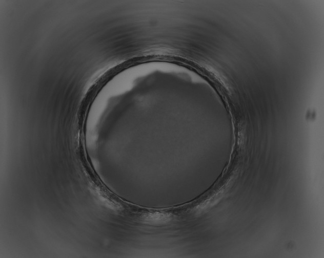 X0000091201117200708301555