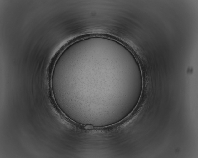 X0000091201118200708301555