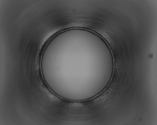 X0000091201119200708301555