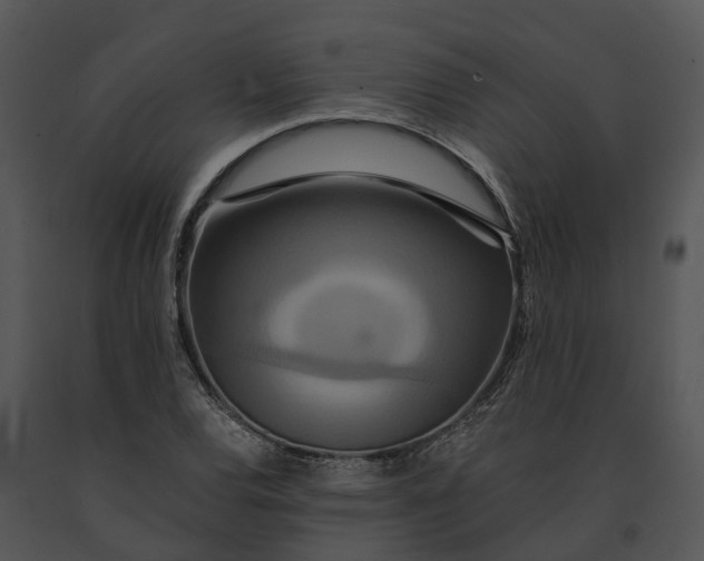X0000091201120200708301555