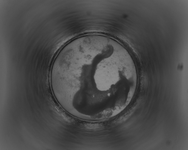 X0000091201121200708301555