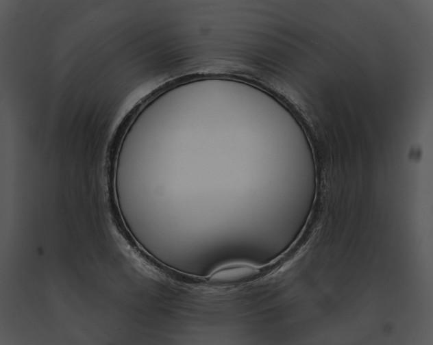 X0000091201122200708301555