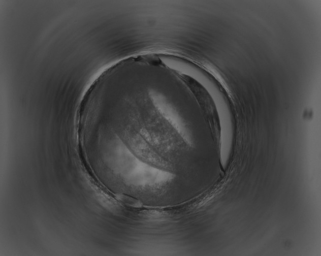 X0000091201124200708301555