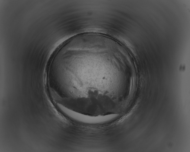 X0000091201125200708301555