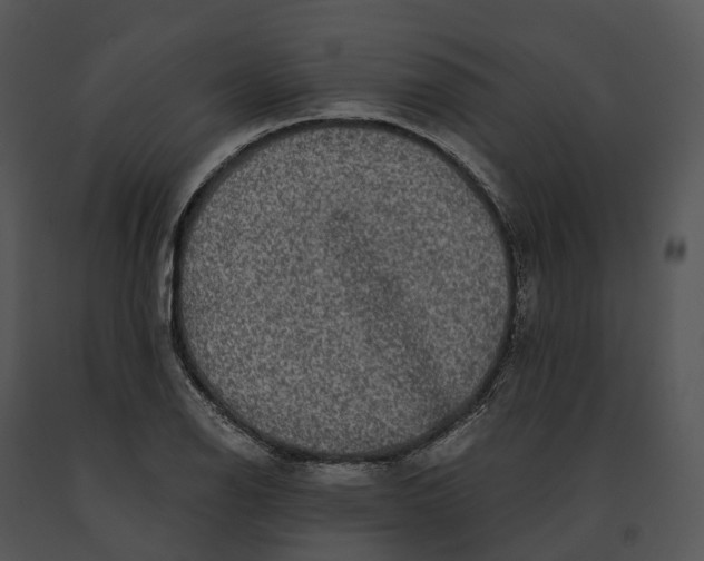 X0000091201126200708301555