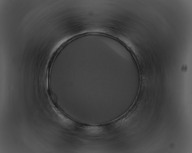 X0000091201127200708301555