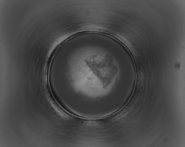 X0000091201128200708301555