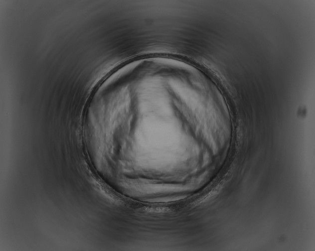 X0000091201129200708301555