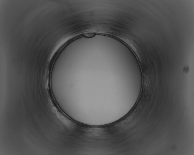 X0000091201131200708301555