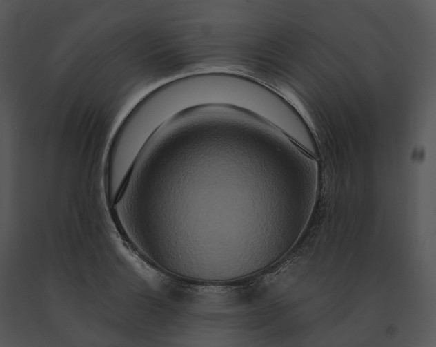 X0000091201132200708301555