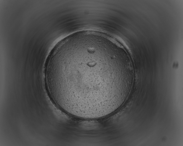X0000091201133200708301555