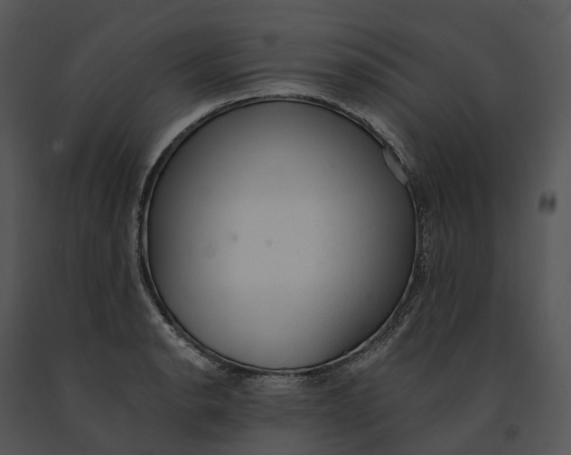 X0000091201134200708301555