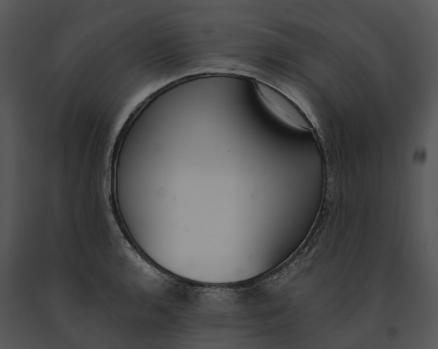 X0000091201136200708301555