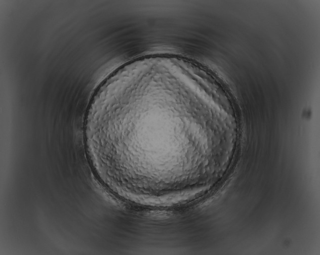 X0000091201137200708301555