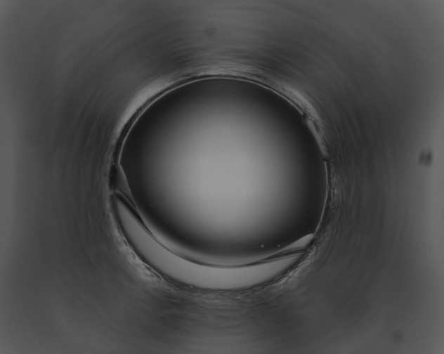 X0000091201138200708301555