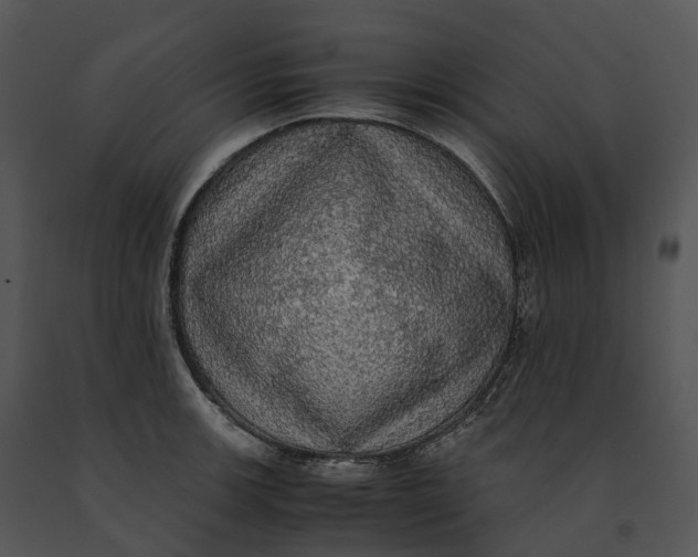 X0000091201139200708301555