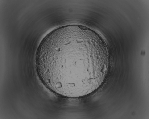 X0000091201142200708301555