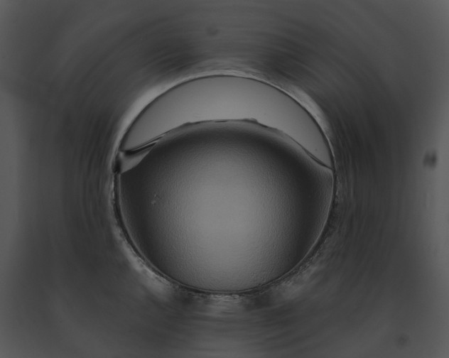 X0000091201144200708301555