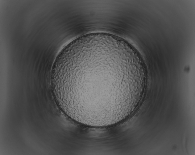 X0000091201145200708301555
