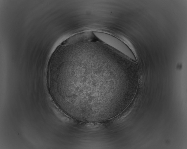 X0000091201146200708301555
