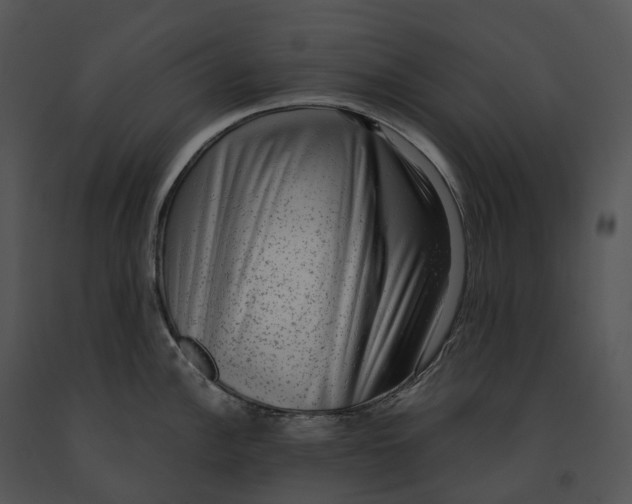 X0000091201148200708301555