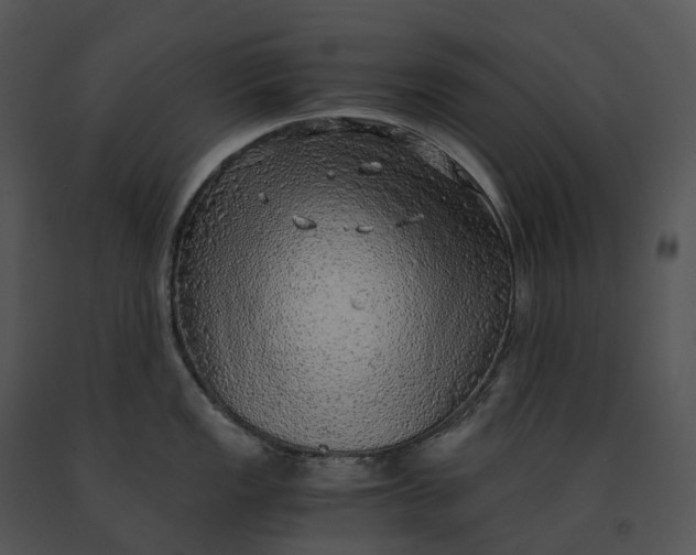 X0000091201149200708301555