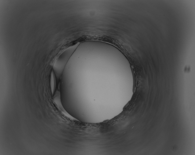 X0000091201153200708301554