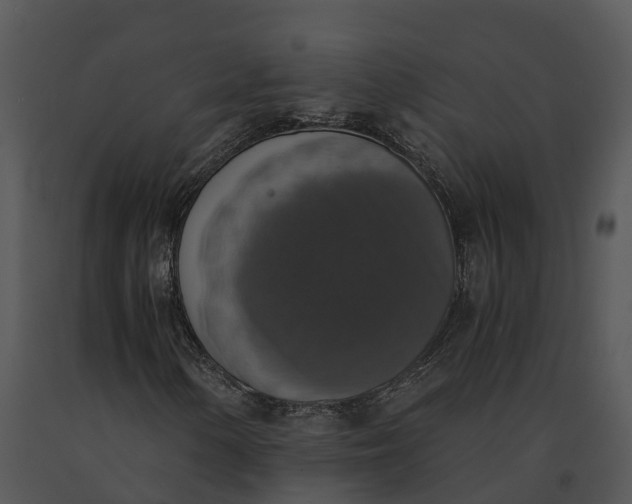 X0000091201154200708301554